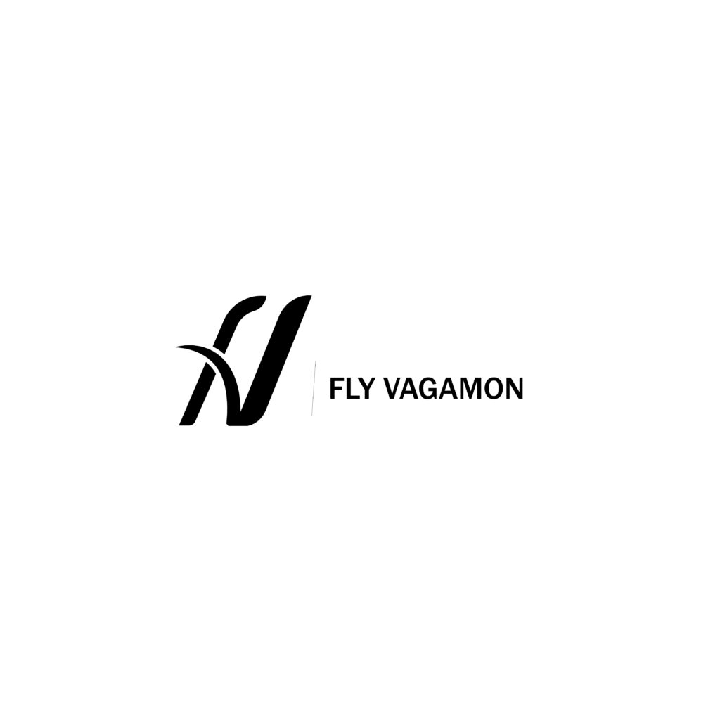fly 2